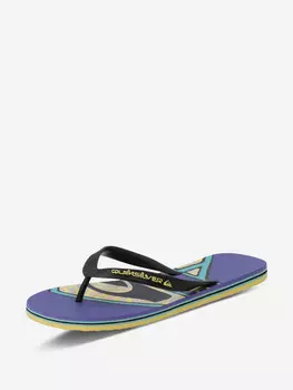 Шлепанцы мужские Quiksilver Molokai Core, Синий