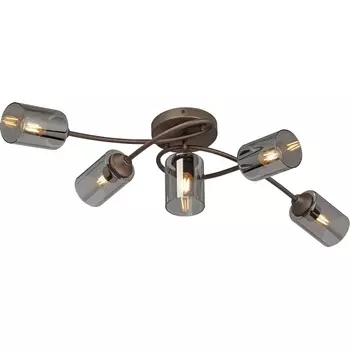 Потолочная люстра Vitaluce V2048-7/5PL