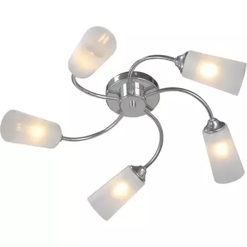 Потолочная люстра Vitaluce V2831-9/5PL