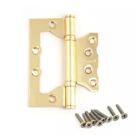 Петля накладная Avers 100*75*2,5-B2-GM