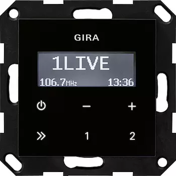228405 Радио скрытого монтажа RDS без громкоговорителя Черный Gira