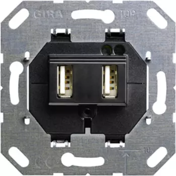 235900 Вставка для USB электропитания 2-местн. Тип A / тип A Gira