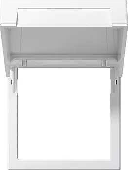 265827 Монтажные рамки с крышкой System 55 матовый белый Белый Gira