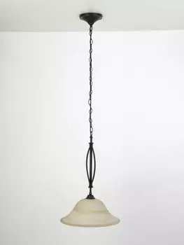 Светильник подвесной Brilliant FIORE 81970/58