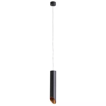 Светильник подвесной Arte Lamp Pilon-Gold A1536SP-1BK