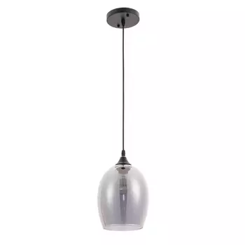 Светильник подвесной Arte Lamp Propus A4344SP-1BK