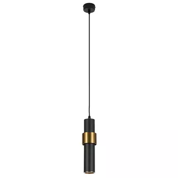 Светильник подвесной Arte Lamp Ran A3144SP-1BK