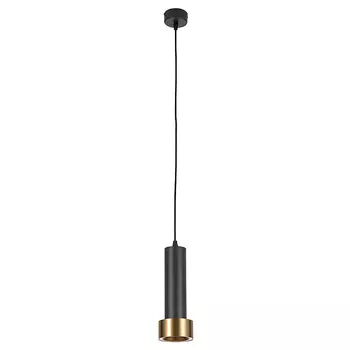 Светильник подвесной Arte Lamp Ran A3147SP-1BK