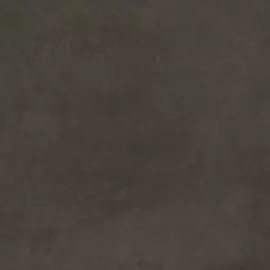 Плитка Kerama Marazzi Про Фьюче коричневый обрезной 60x60 см DD639800R