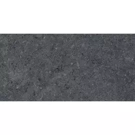 Плитка Kerama Marazzi Роверелла серый темный обрезной DL200800R20 30x60 см
