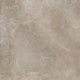 Плитка Kerama Marazzi Розовый город Коричневая 50,2х50,2 см SG454000N