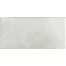 Плитка Mainzu Riviera PT03309 Blanc 15x30