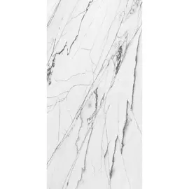 Плитка NB Ceramic Spectra White P 2157 60x120 см