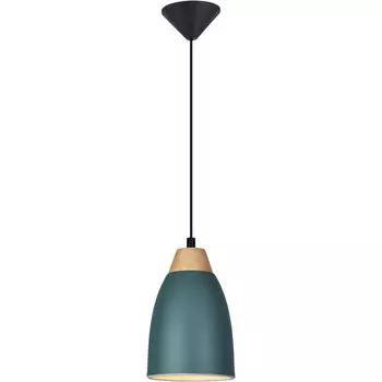 Подвесной светильник TOPLIGHT TL0724H-2G