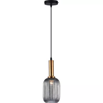 Подвесной светильник TOPLIGHT TL1221H-01SM