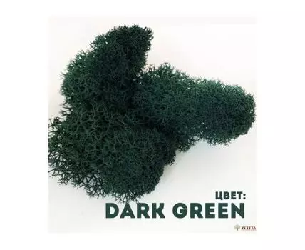 Мох Dark Green 400гр.