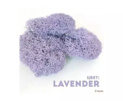 Мох Lavender 400гр.