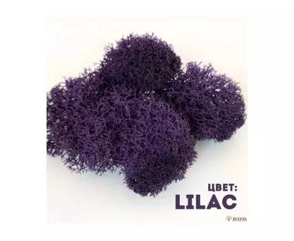 Мох Lilac 400гр.