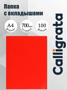 Папка с 100 вкладышами а4, 700 мкм, calligrata, текстура