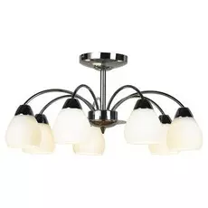 Потолочная люстра Lussole Apiro LSF-2403-07