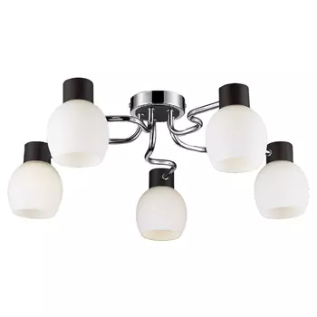 Потолочная люстра Lussole Carpino LSC-8503-05