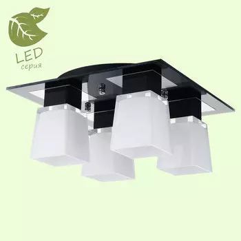Потолочная люстра Lussole Lente GRLSC-2507-04
