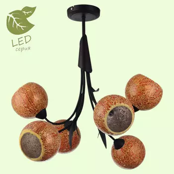 Потолочная люстра Lussole GRLSF-6203-06