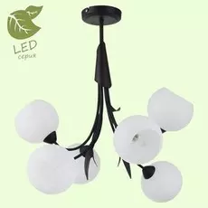 Потолочная люстра Lussole GRLSF-6293-06