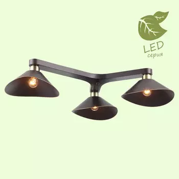 Потолочная люстра Lussole LOFT Opelika GRLSP-9534