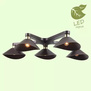 Потолочная люстра Lussole LOFT Opelika GRLSP-9535