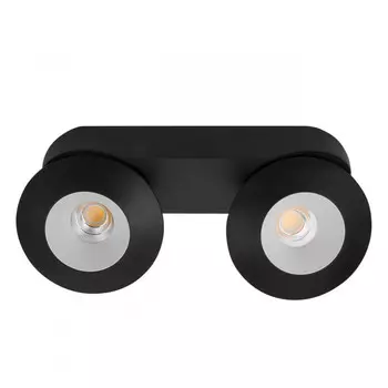 Накладной светильник LeDron KRIS SLIM 2 Black/White