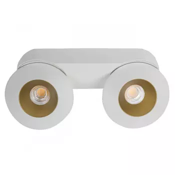 Накладной светильник LeDron KRIS SLIM 2 White/Gold