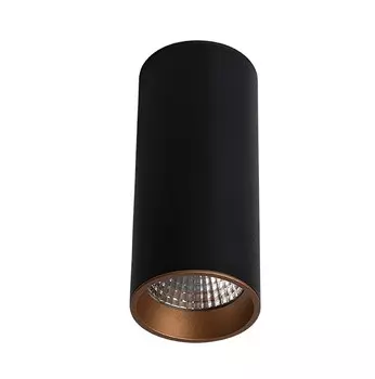 Накладной светильник LeDron SLC7392/12W-BG