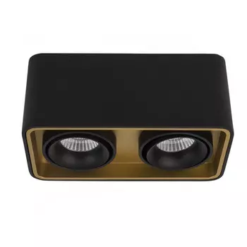 Накладной светильник LeDron TUBING 2 Black/Gold