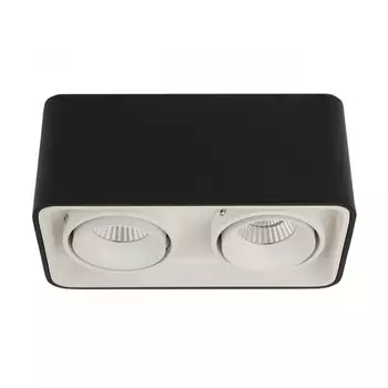 Накладной светильник LeDron TUBING 2 Black/White