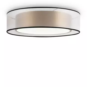 Накладной светильник Freya FR6005CL-L36G
