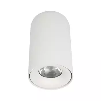 Накладной светильник LOFT IT 10220 White 3000K