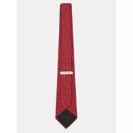 Галстук Cerruti 1881