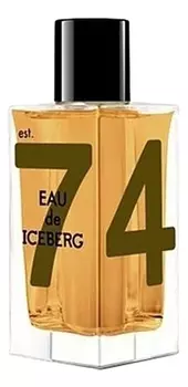 Eau de Iceberg Amber: туалетная вода 100мл уценка