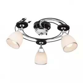 223.59.3 Спот Silver Light Austerity