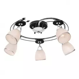 223.59.5 Спот Silver Light Austerity