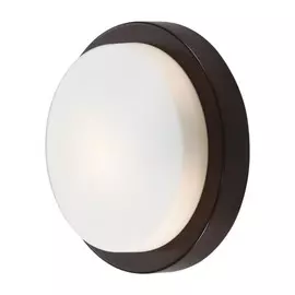 2744/1C Настенно-потолочный влагозащищенный светильник Odeon Light Holger