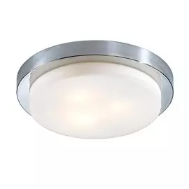 2746/3C Настенно-потолочный влагозащищенный светильник Odeon Light Holger