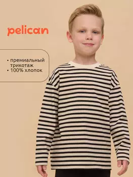 Свитшот, джемпер для мальчиков Pelican, Черный
