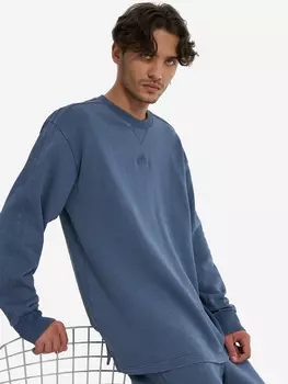 Свитшот мужской adidas, Синий