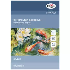 Папка для акварели Гамма "Студия" А4 10 л 200 г, среднее зерно