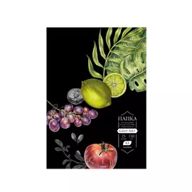 Папка с бумагой для сухих техник Малевичъ Graf'Art black А3 25 л 150 г
