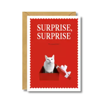 Открытка "Surprise Surprise" А6