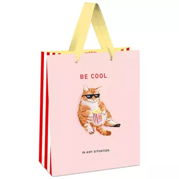 Пакет подарочный MESHU "Be cool" 11*14*6,5 см