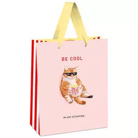 Пакет подарочный MESHU "Be cool" 18*23*10 см